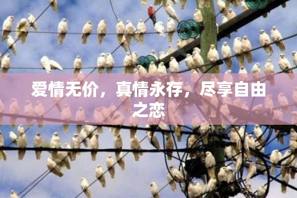 爱情无价，真情永存，尽享自由之恋