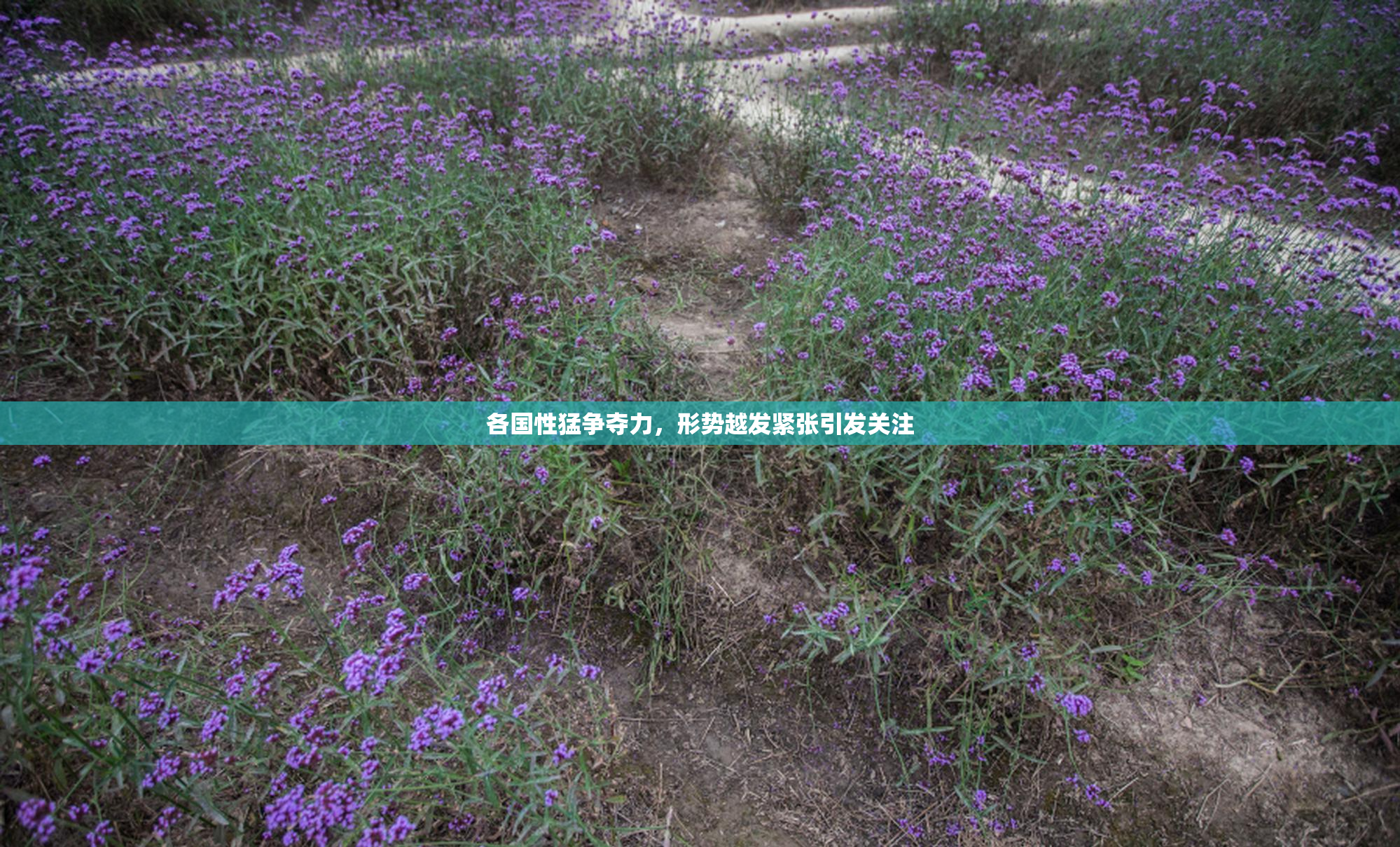 各国性猛争夺力，形势越发紧张引发关注