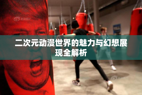 二次元动漫世界的魅力与幻想展现全解析