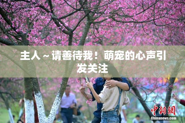 主人～请善待我！萌宠的心声引发关注