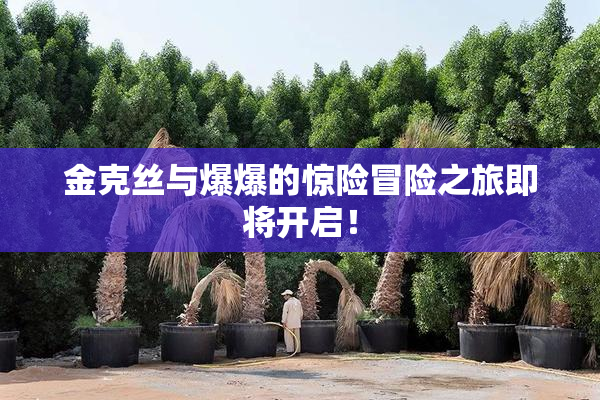 金克丝与爆爆的惊险冒险之旅即将开启！