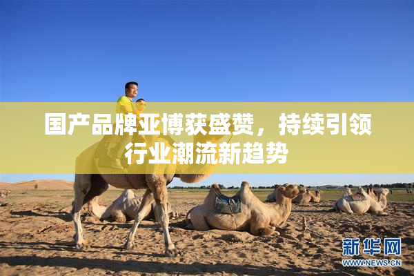 国产品牌亚博获盛赞，持续引领行业潮流新趋势