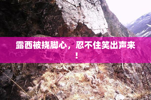 露西被挠脚心，忍不住笑出声来！
