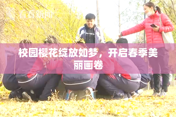 校园樱花绽放如梦，开启春季美丽画卷