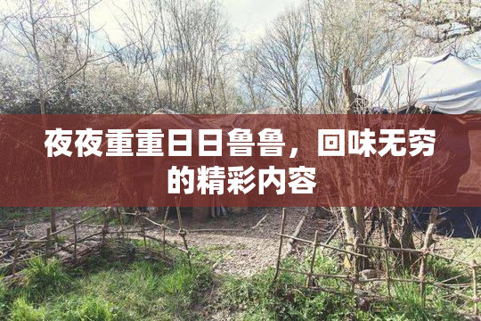 夜夜重重日日鲁鲁，回味无穷的精彩内容