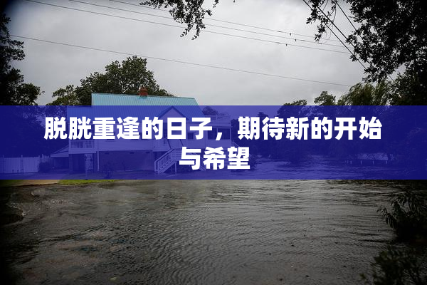 脱胱重逢的日子，期待新的开始与希望