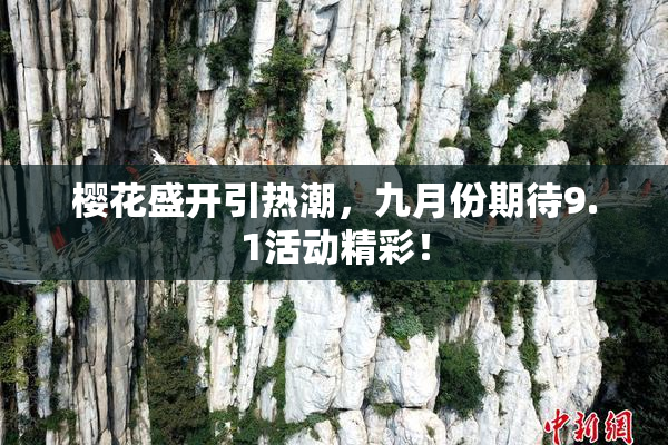 樱花盛开引热潮，九月份期待9.1活动精彩！