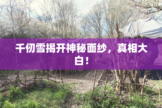 千仞雪揭开神秘面纱，真相大白！